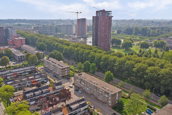 Foto 5 van Vredeman de Vriesstraat 56