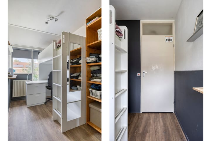 Foto 17 van Kornoelje 5