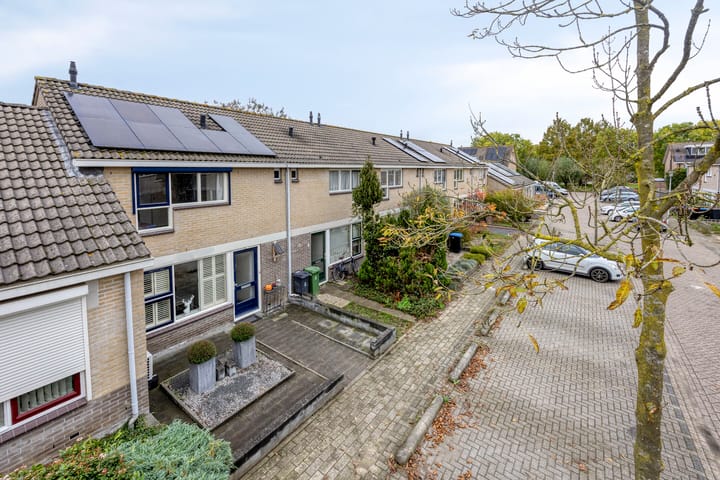 Foto 31 van Kornoelje 5