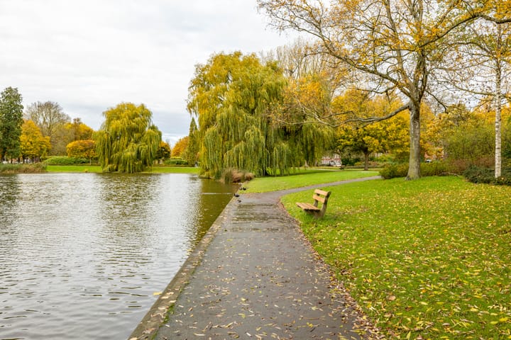 Foto 47 van Pioenstraat 19