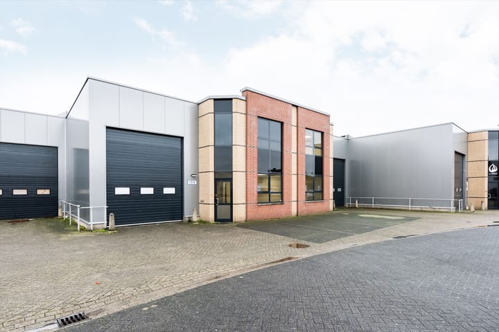 Minervum 7378, Breda