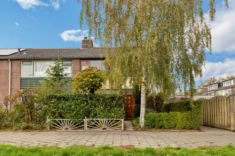 undefined main image