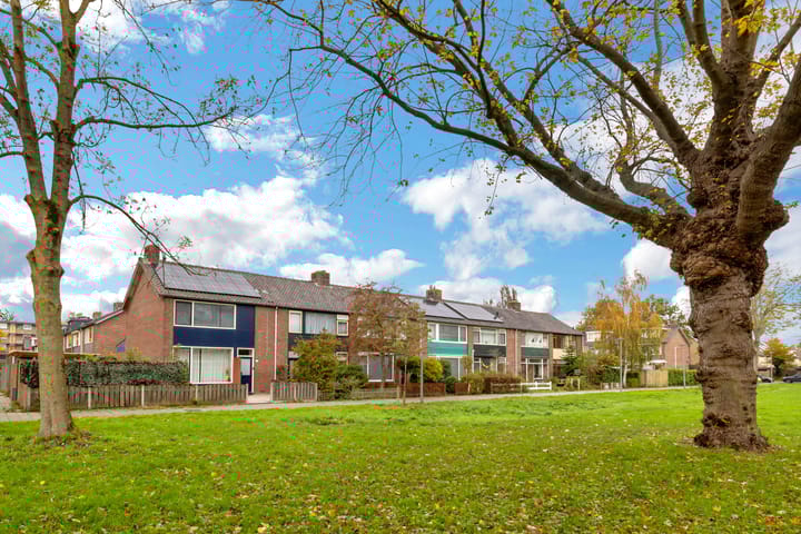 Foto 6 van Merwedepad 45