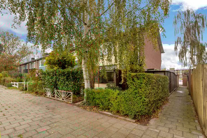 Foto 7 van Merwedepad 45