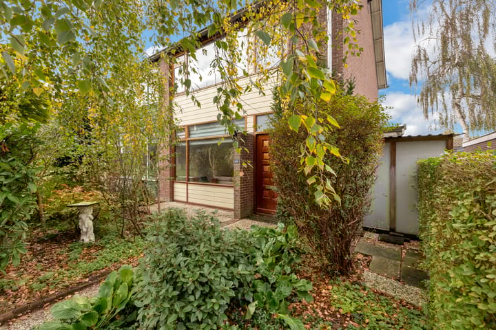 Foto 8 van Merwedepad 45