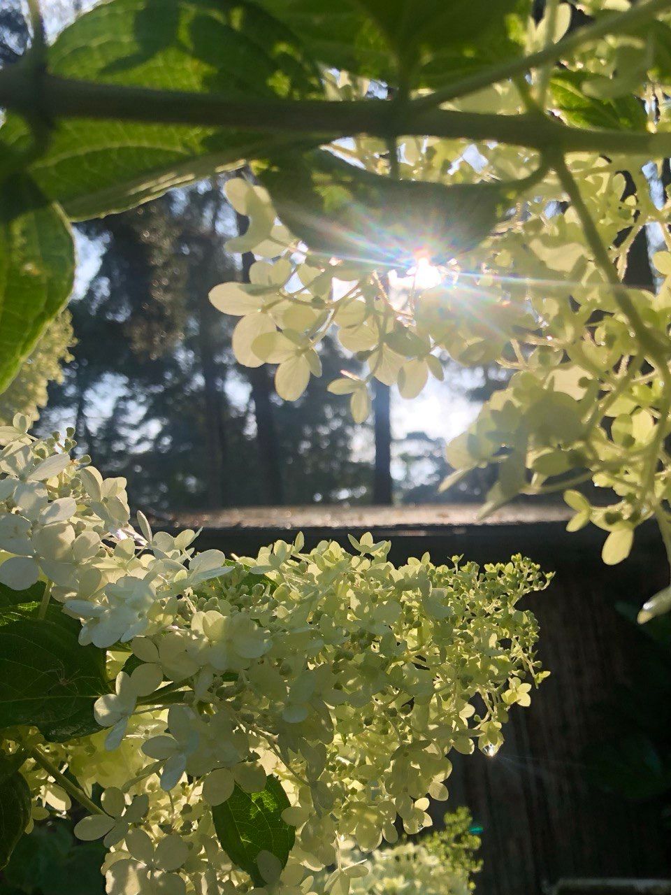 Photo 33 of Posthoornseweg 6-69