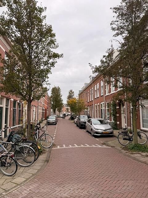 Photo 32 of Berckheydestraat 31-RD