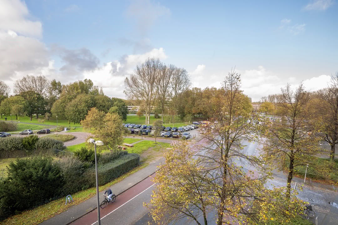 Photo 16 of Schiedamseweg 248