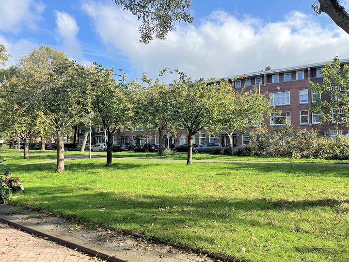 Foto 29 van De Savornin Lohmanlaan 85-A