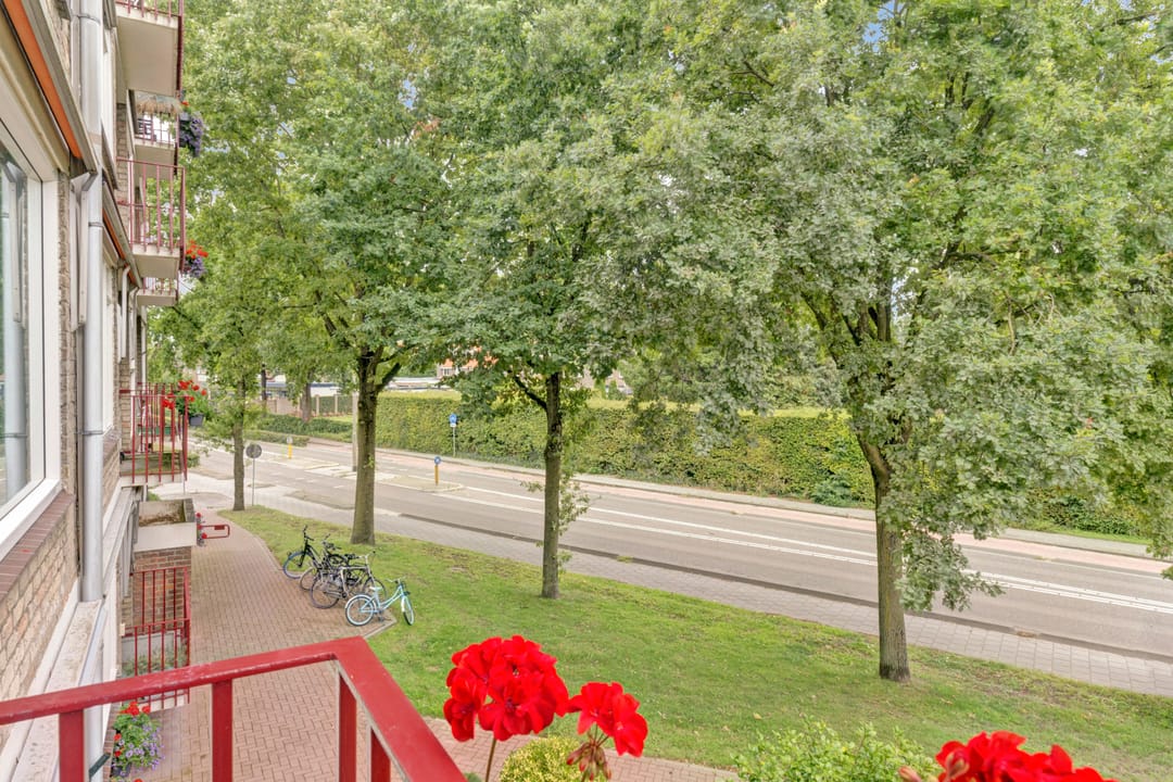 Photo 26 of Stadswal 26-B