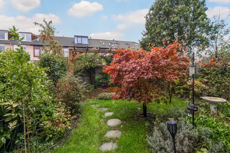 Klaproos 24 secondary image