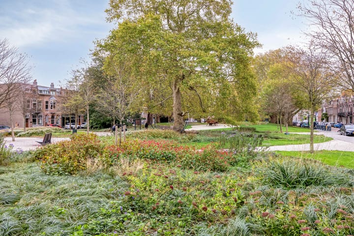 Foto 26 van Over de Vesten 53