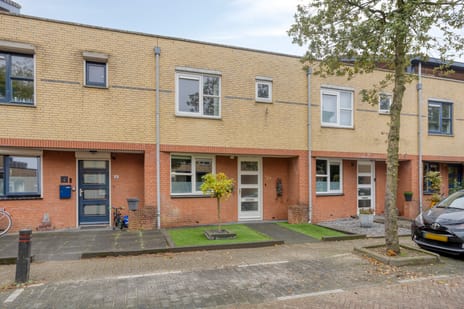 undefined main image