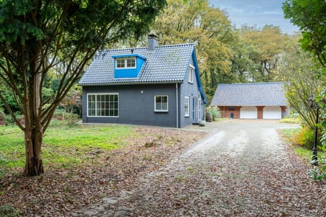 Dalerstraat thumbnail