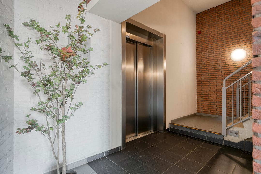 Photo 8 of Wolfsberg 58