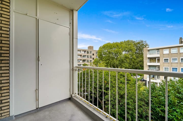 Foto 10 van Smaragdhorst 259