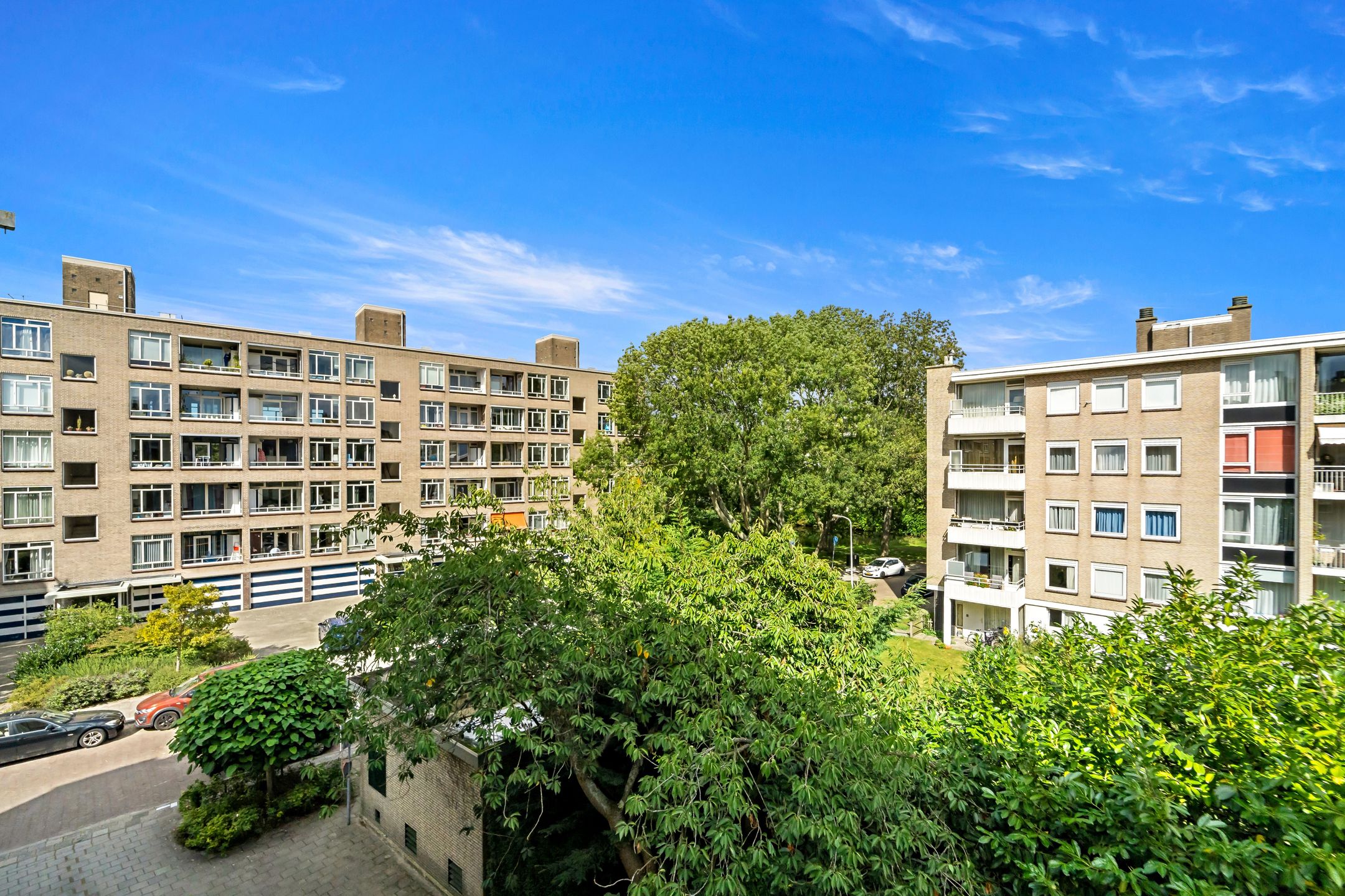 Foto 12 van Smaragdhorst 259