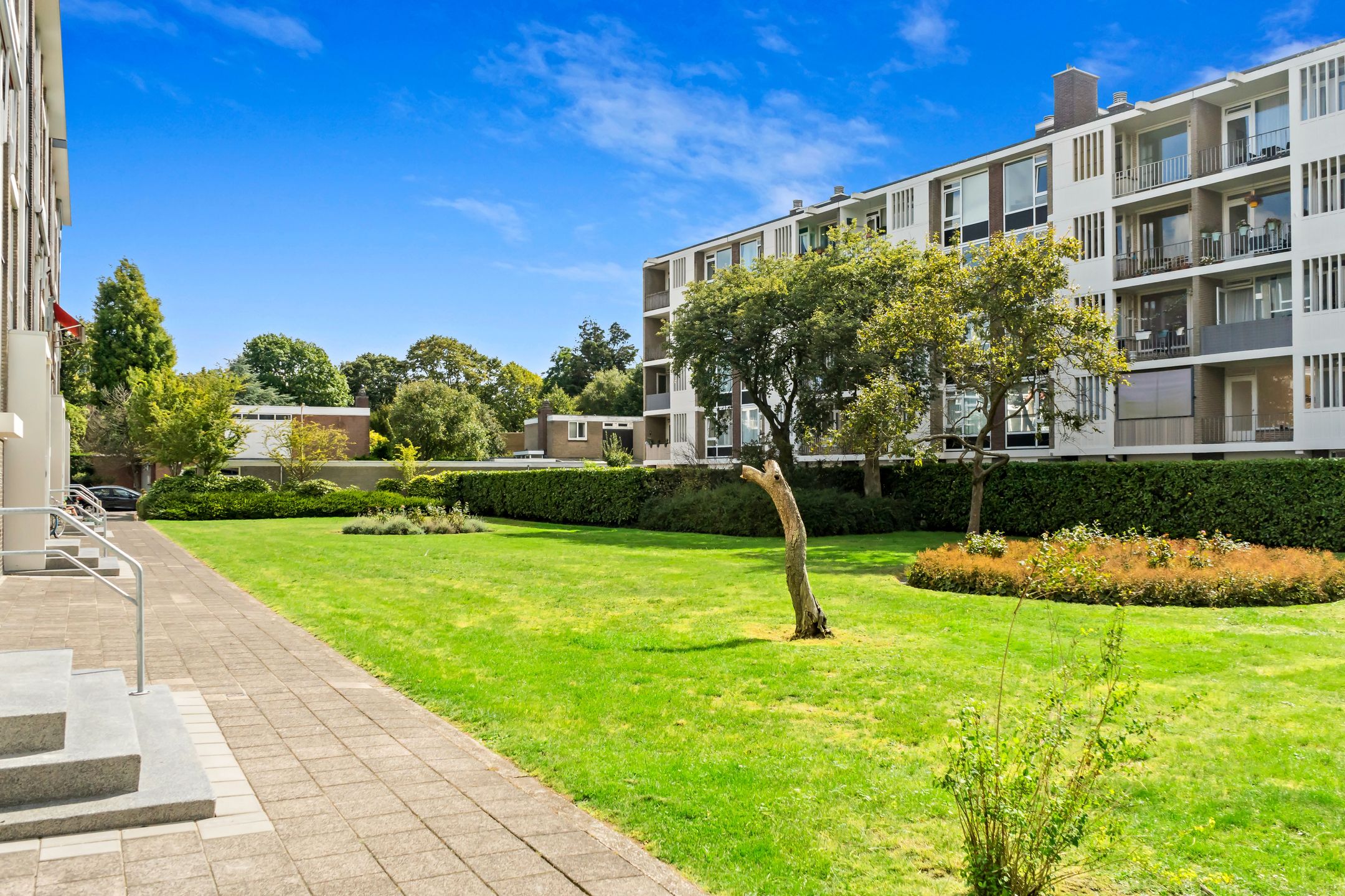 Foto 18 van Smaragdhorst 259