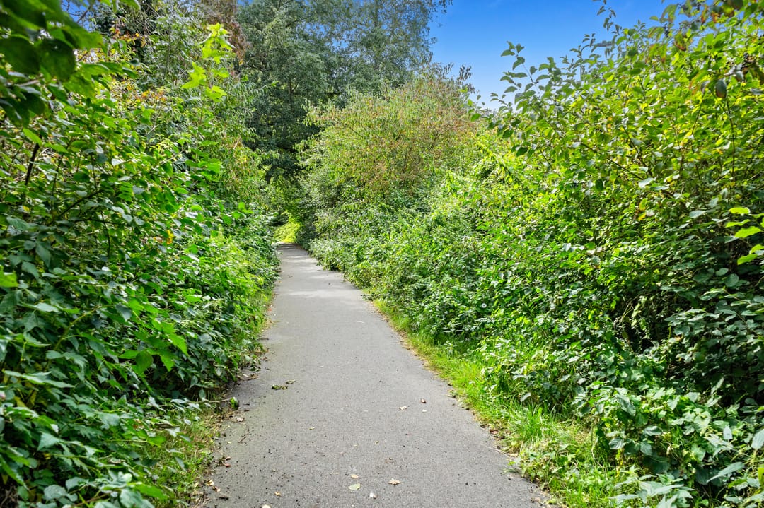 Foto 22 van Smaragdhorst 259