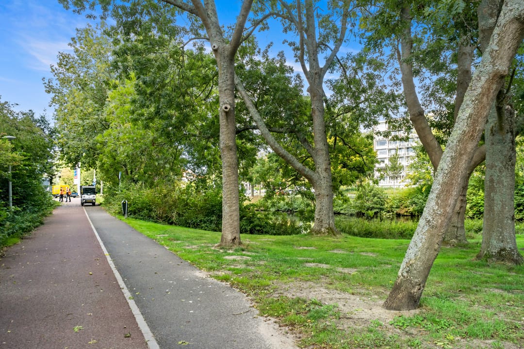 Foto 23 van Smaragdhorst 259