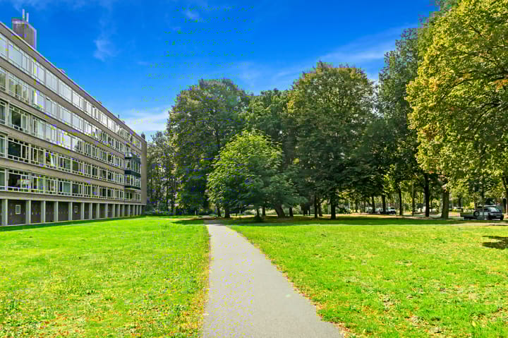 Foto 24 van Smaragdhorst 259