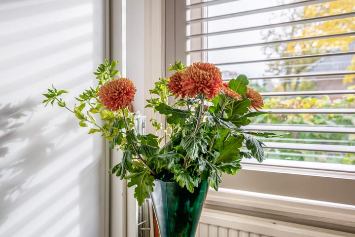 Foto 23 van Eekmolenweg 13