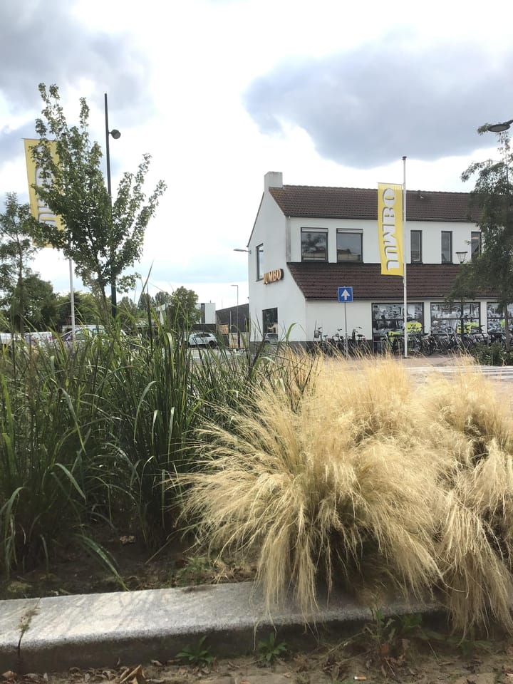 Photo 53 of De Doorgang 5