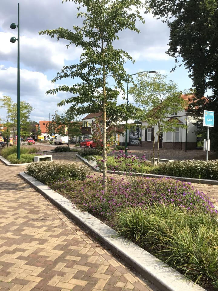 Photo 54 of De Doorgang 5