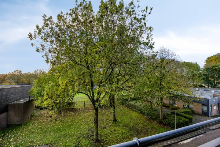 Foto 5 van Lindenburg 24