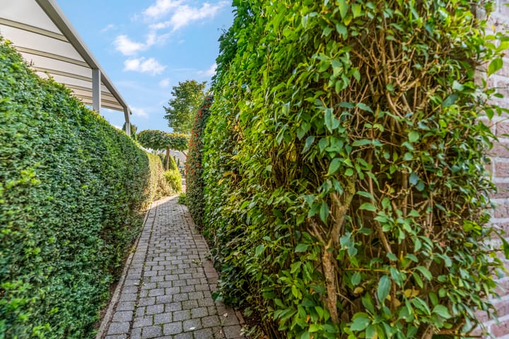 Photo 42 of Liendense Singel 22