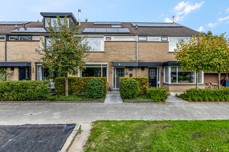 undefined main image