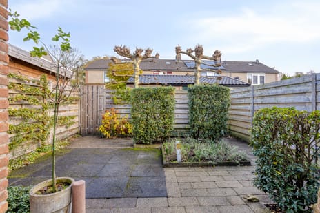 Gaelekamp 47 tertiary image