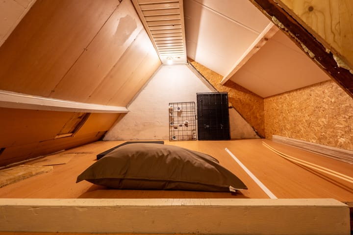 Photo 43 of Zoutendijk 12