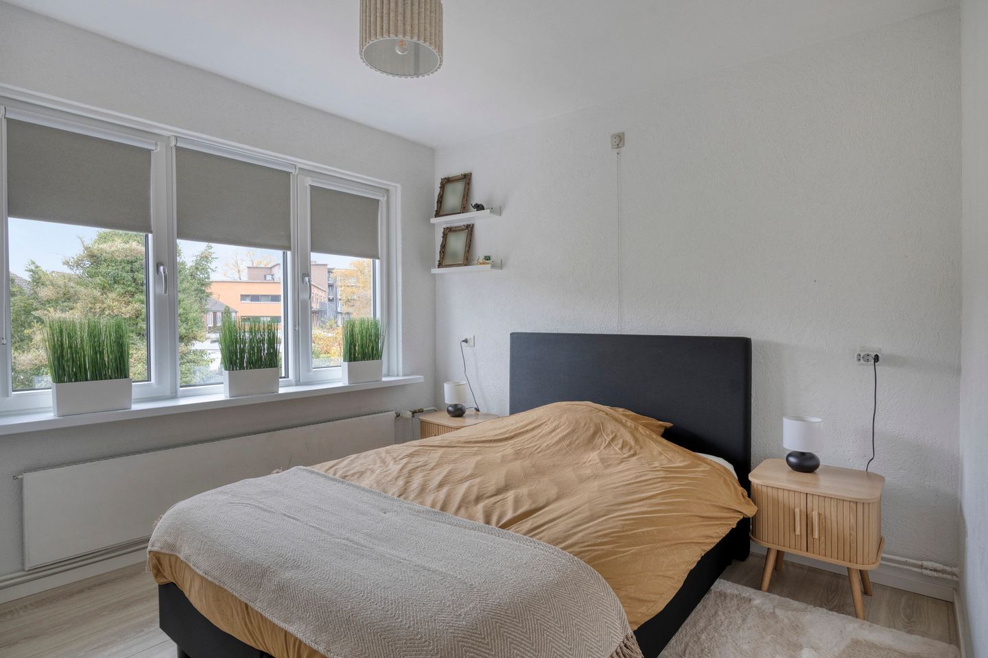 Foto 14 van Zuivelstraat 38