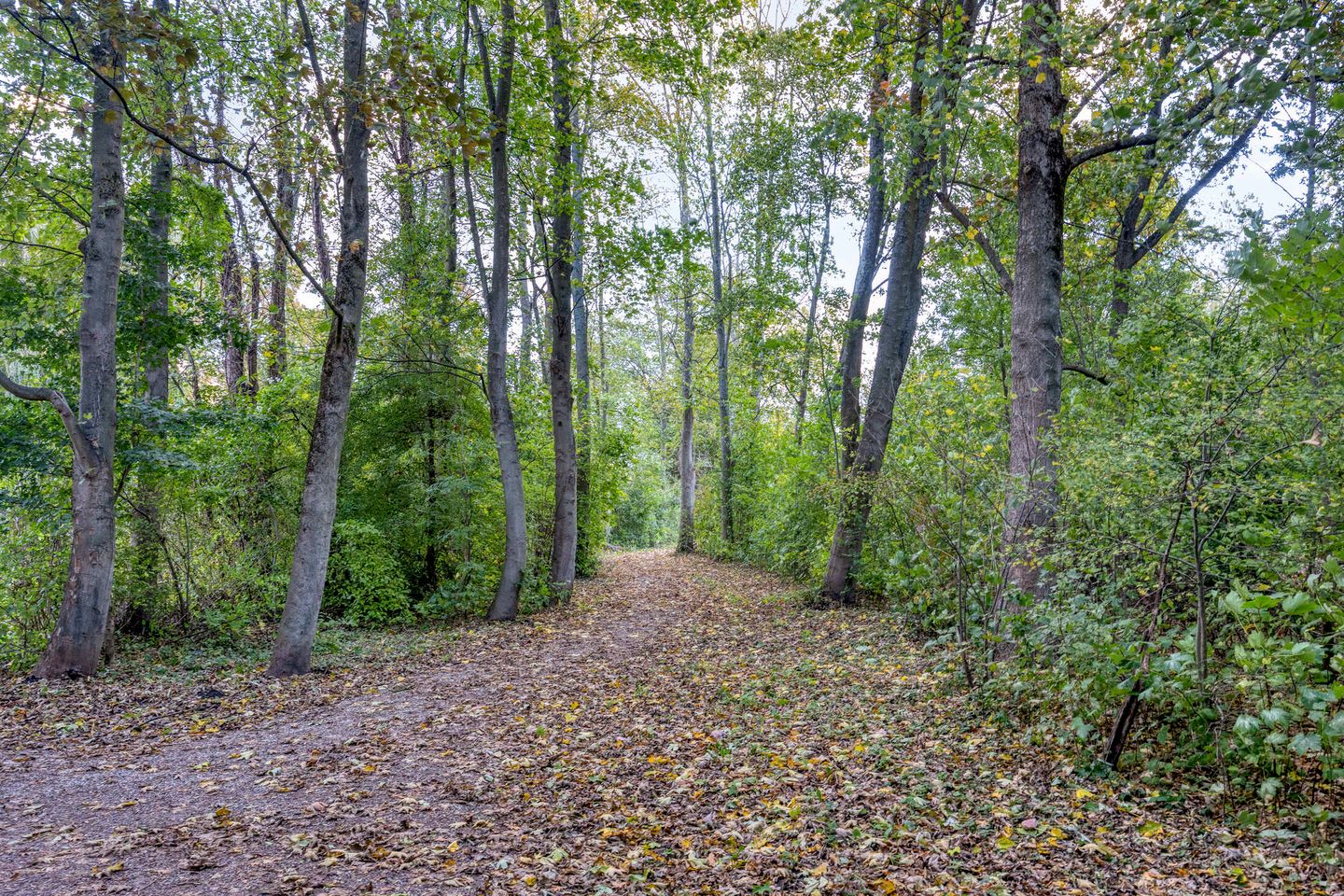 Foto 35 van Kastanjelaan 28