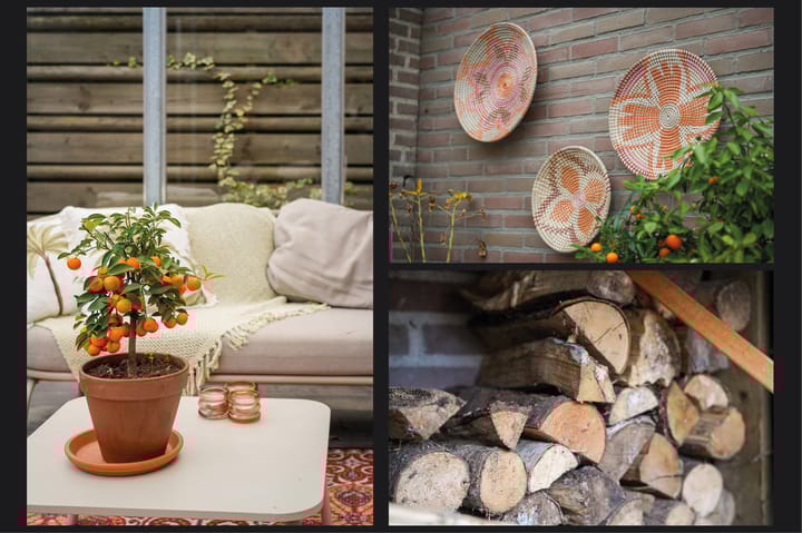 Foto 31 van Mandersstraat 60