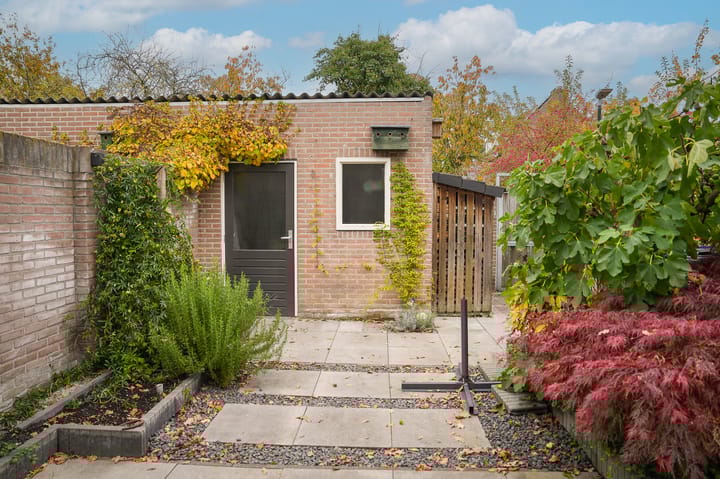 Foto 32 van Mandersstraat 60