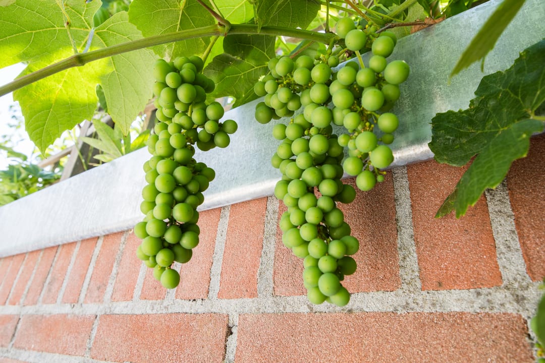 Foto 37 van Griftstraat 3