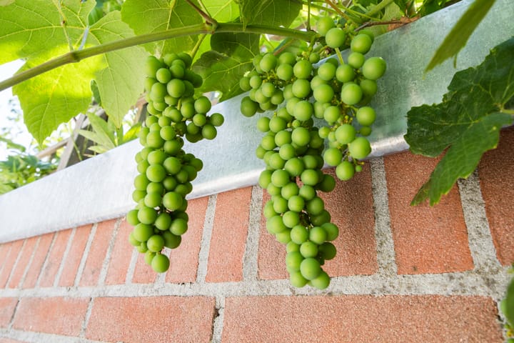 Foto 37 van Griftstraat 3