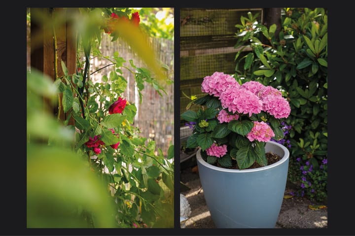 Photo 35 of Kwartelstraat 12