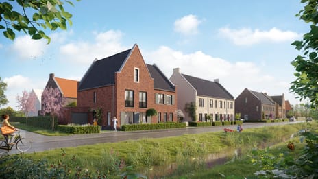 Moerasbeemd thumbnail