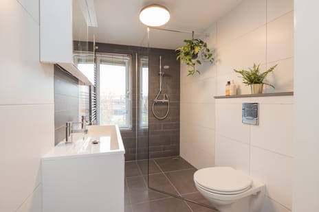 Tulpenstraat 11 tertiary image