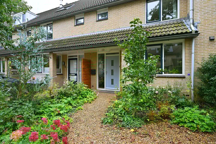 Foto 2 van Meerkoet 7