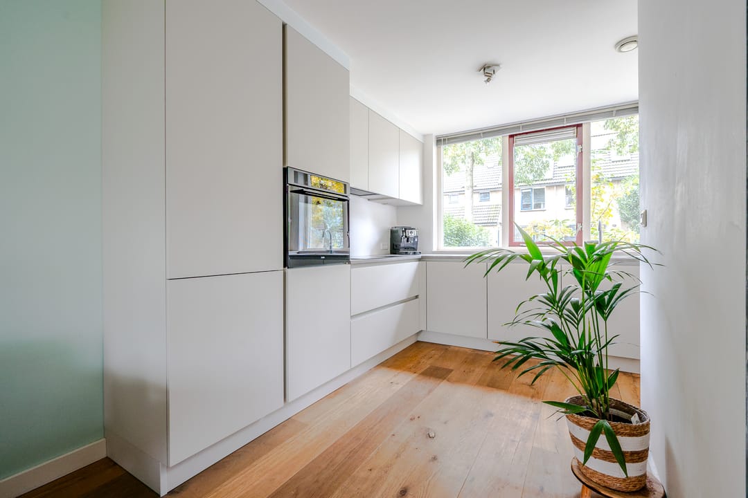 Foto 13 van Meerkoet 7