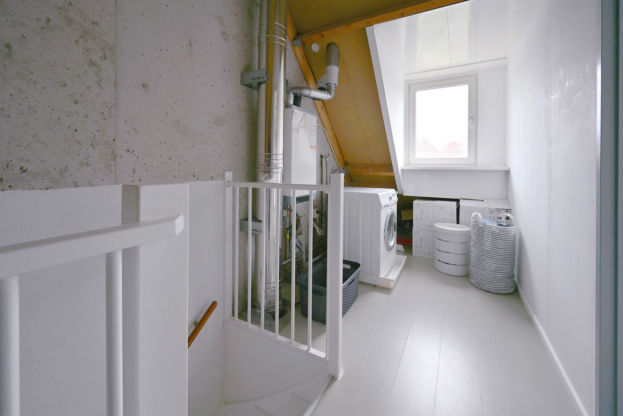 Foto 27 van Meerkoet 7