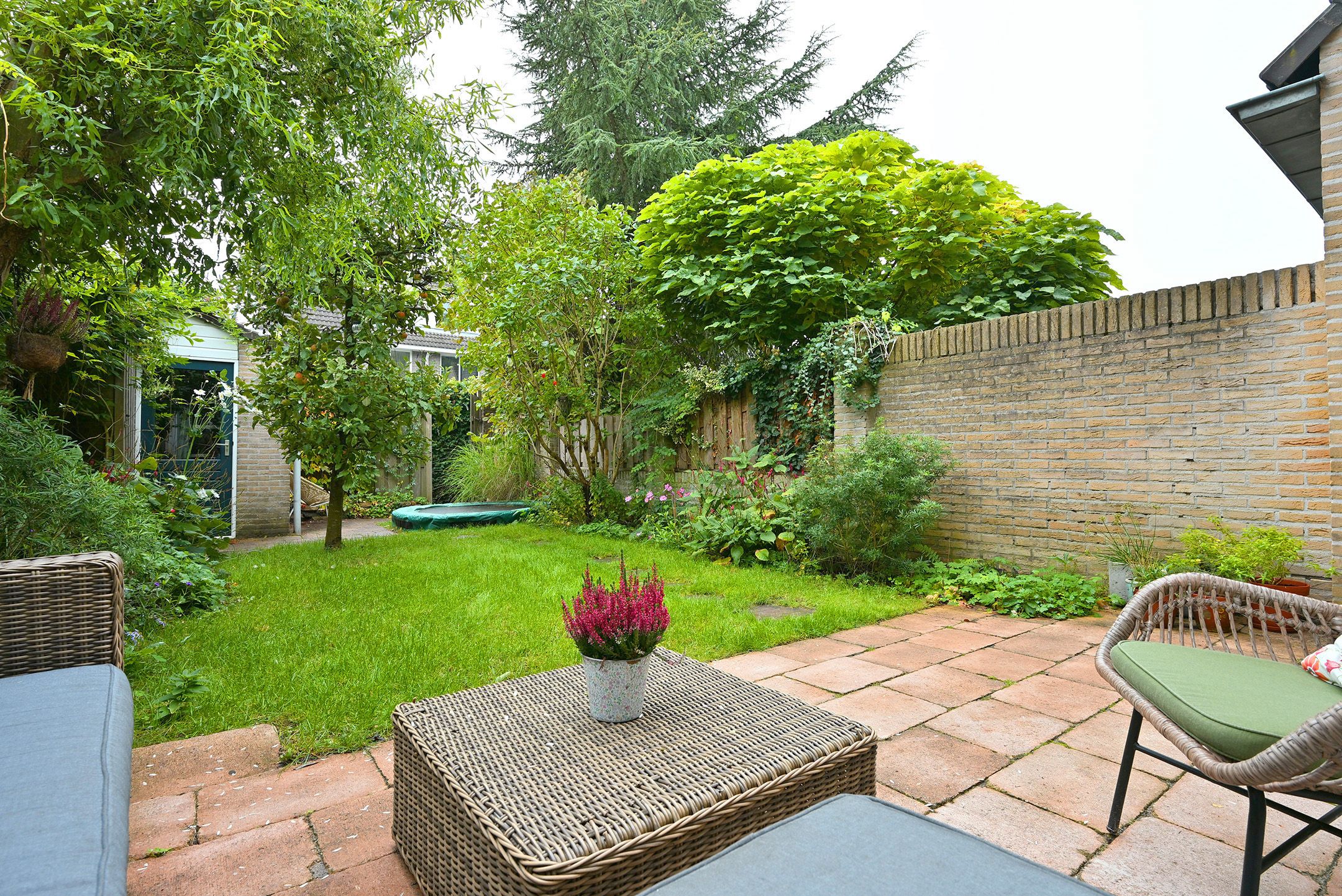 Foto 33 van Meerkoet 7