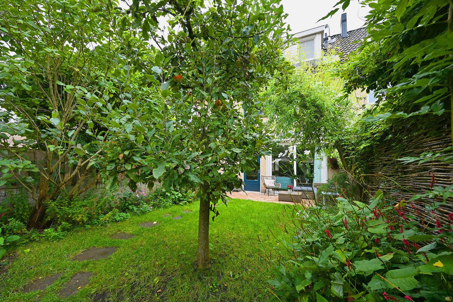 Foto 35 van Meerkoet 7