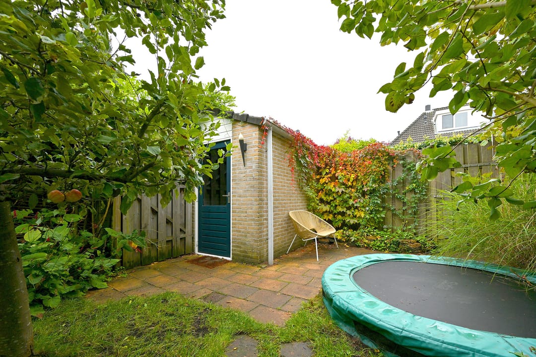 Foto 38 van Meerkoet 7