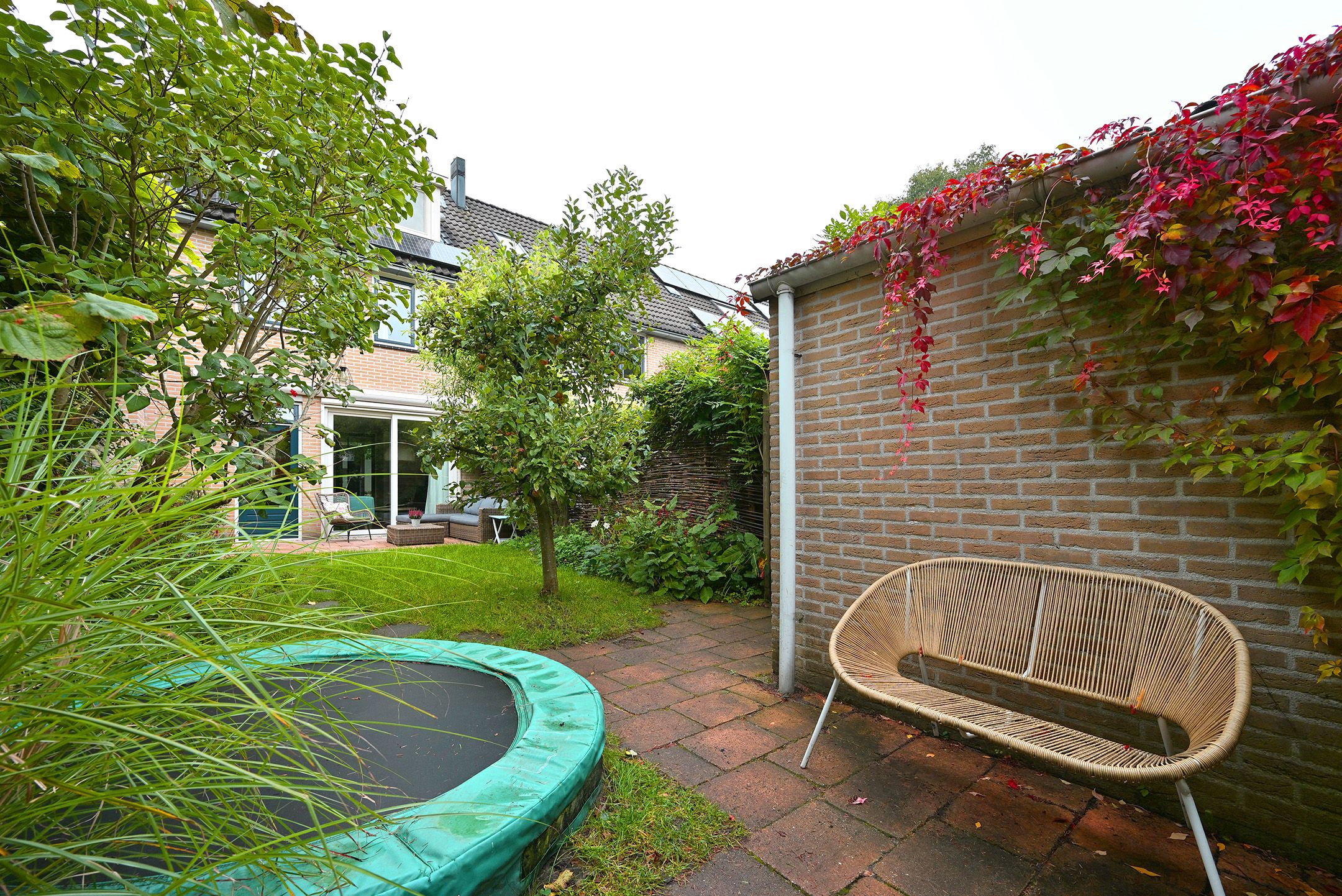 Foto 39 van Meerkoet 7