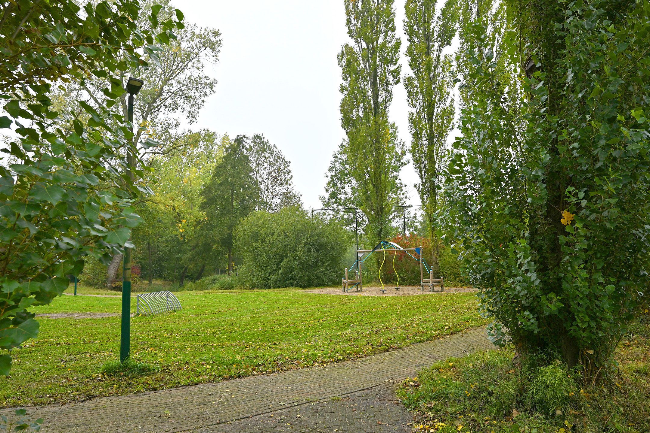 Foto 42 van Meerkoet 7